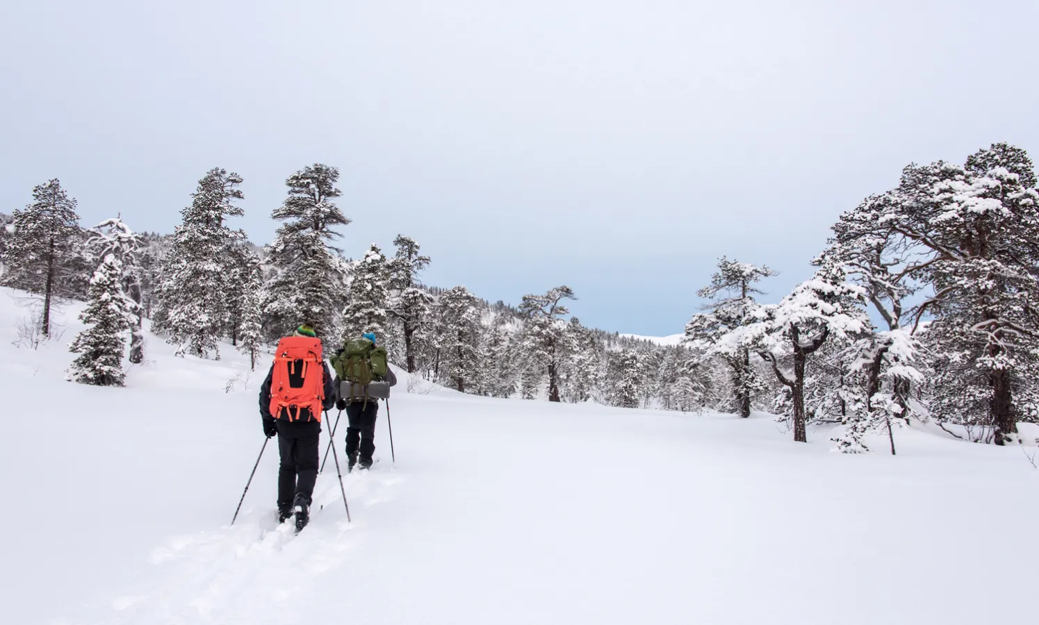 Skitur i Ånderdalen 