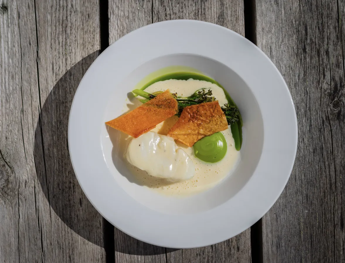 Lokale smaker - fisk - Camp Steinfjord