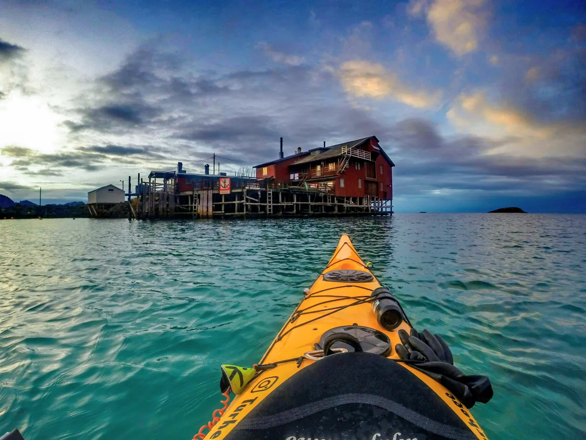 Hege Enge Dekkerhus, Norwegian Wild