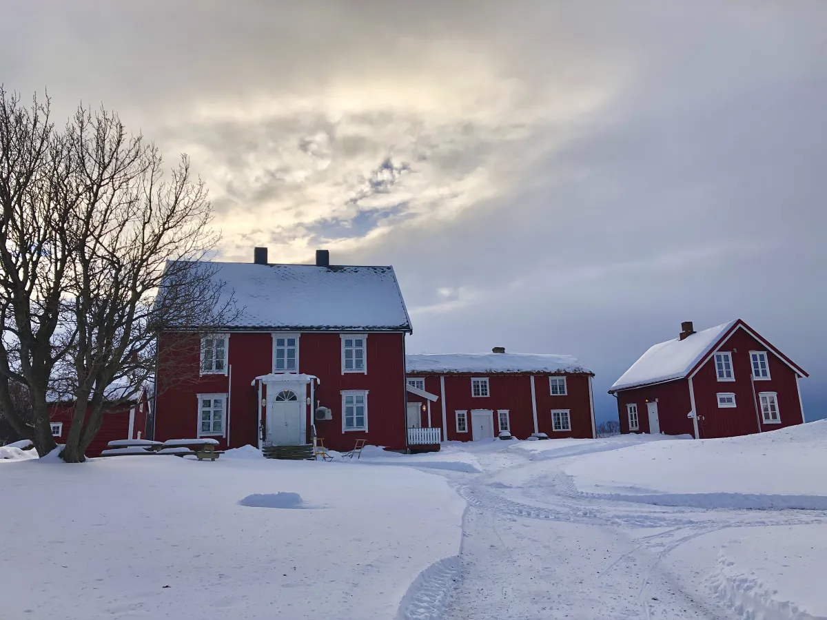 Senja Moments tun vinter