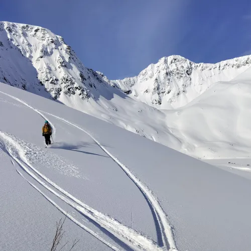 Ski-touring guide 
