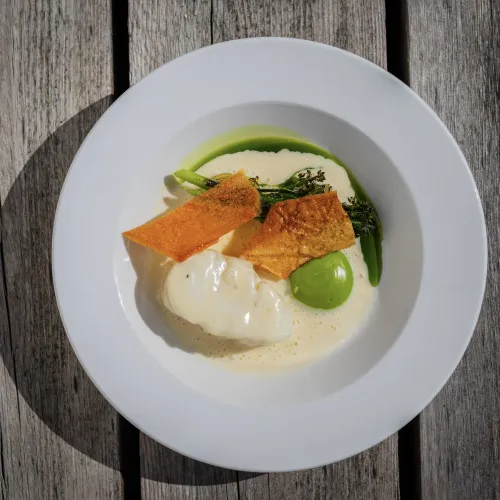 Lokale smaker - fisk - Camp Steinfjord