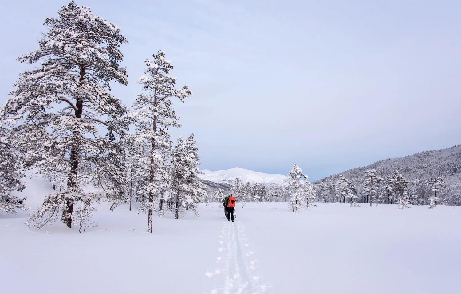 Skitur i Ånderdalen