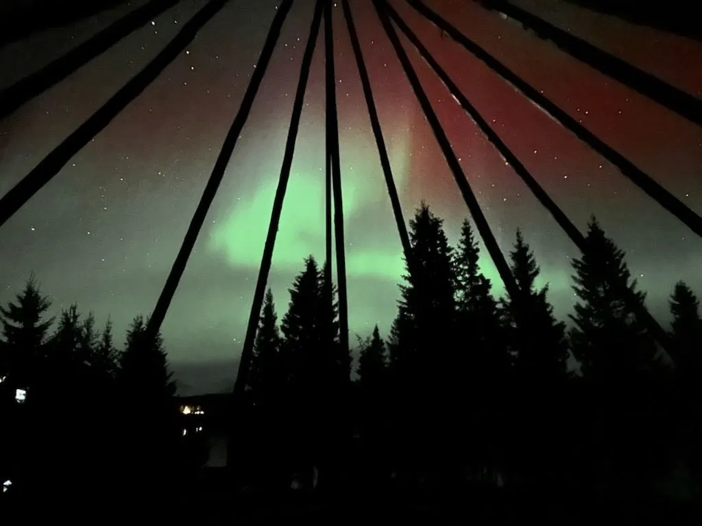 Urhjertet - samisk kultur i villmarka