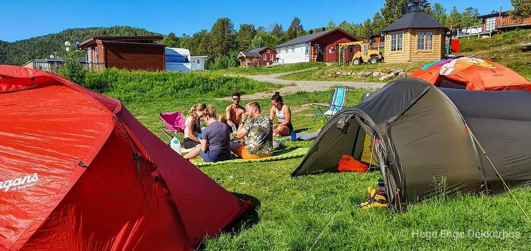 Norwegian Wild 