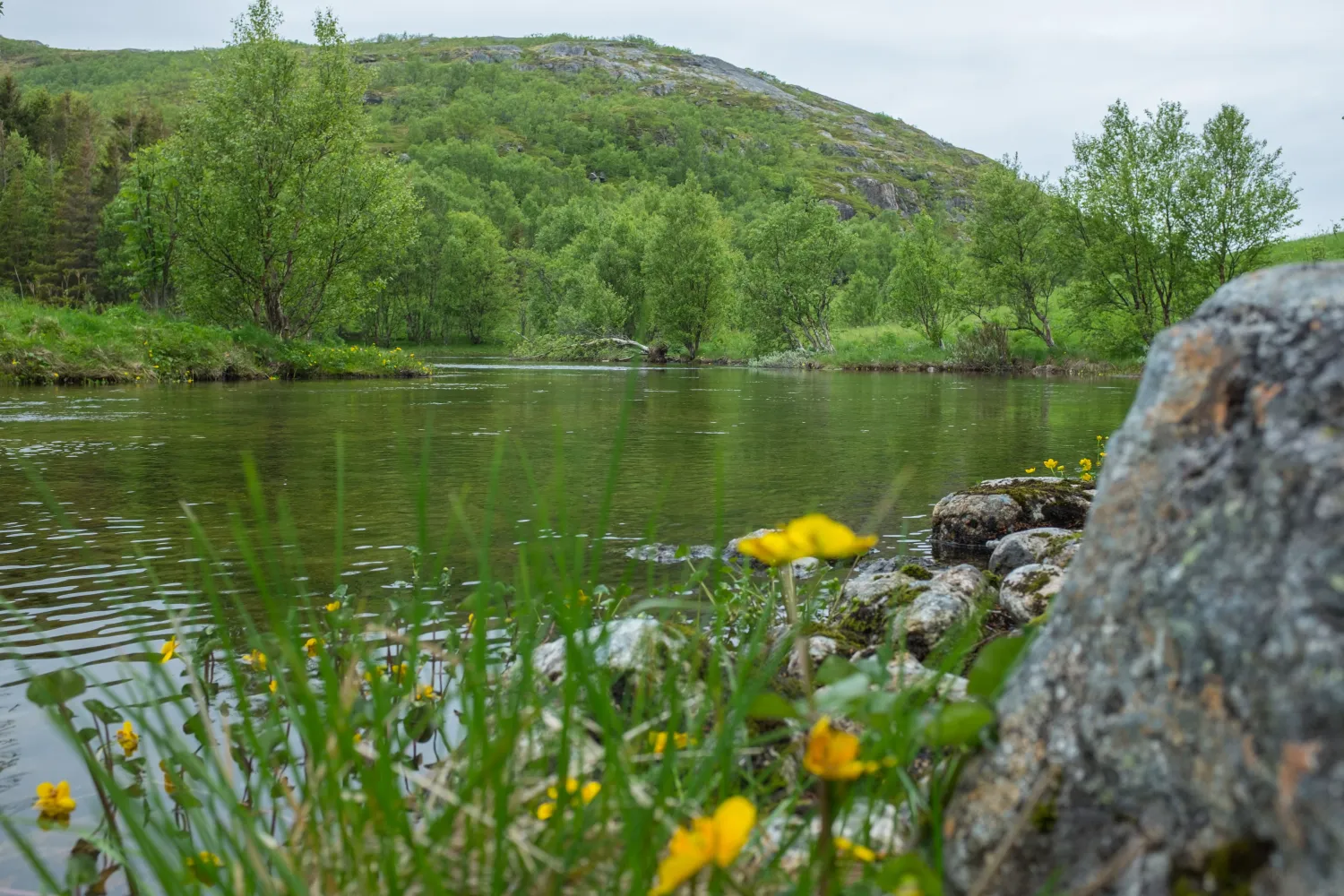 Guidet Kayaking in Ånderdalen National Park