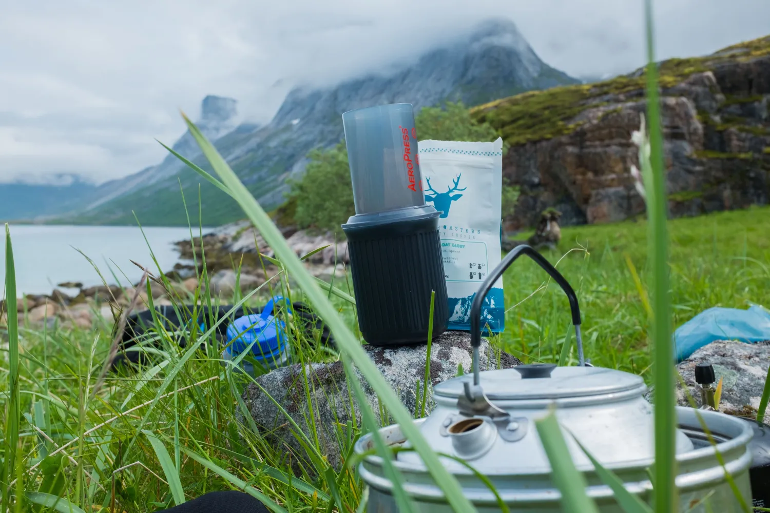 Guidet Kayaking in Ånderdalen National Park
