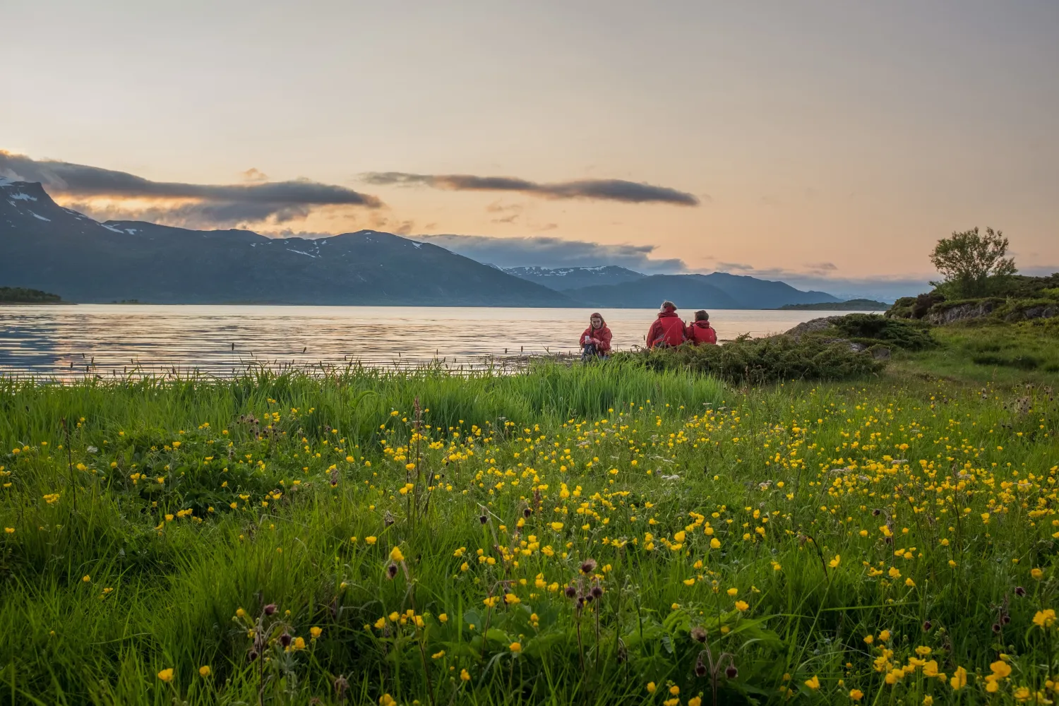 Guidet Midnight Sun Kayaking in Ånderdalen National Park