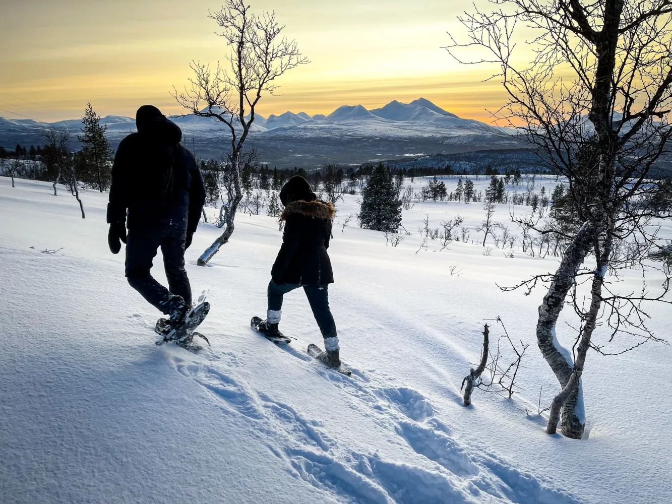 Arktiske villmarksopplevelser