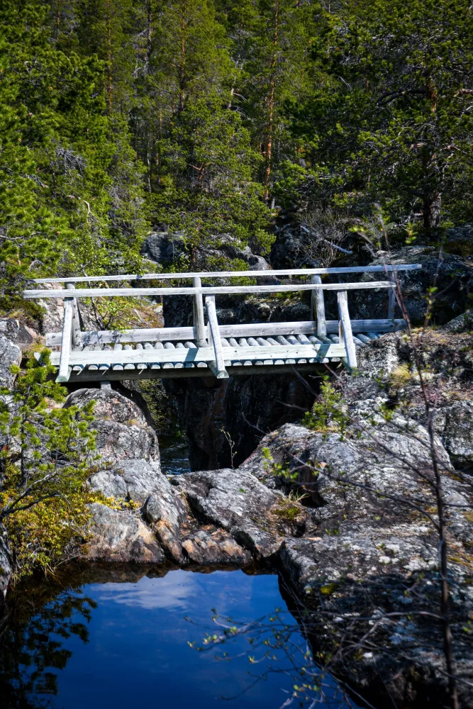 Arktiske villmarksopplevelser