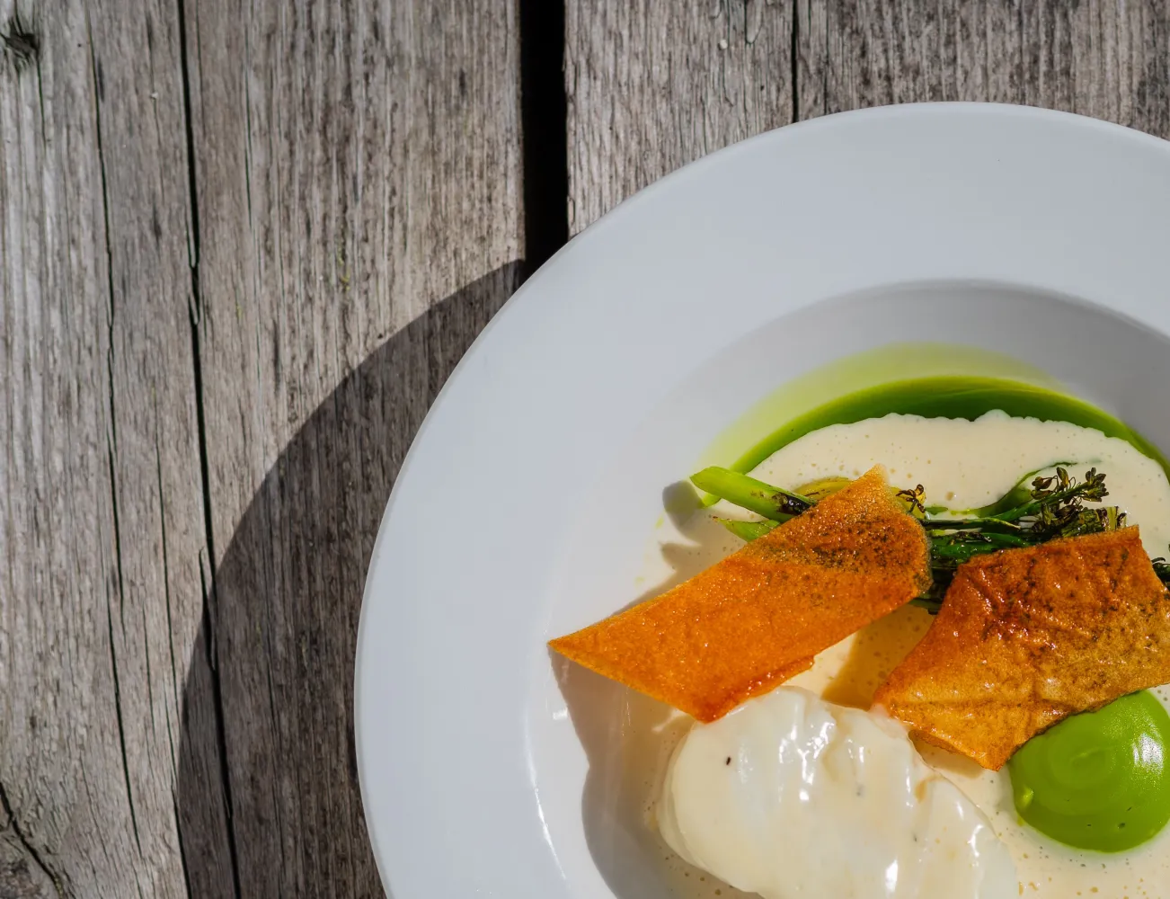 Tallerken med delikat, anrettet gourmetmat