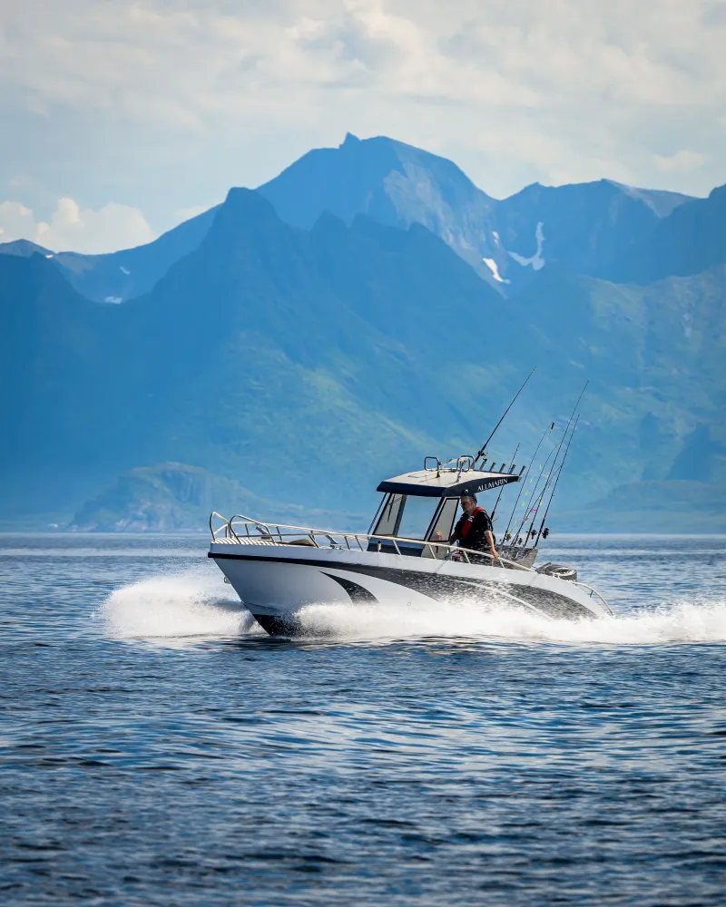 Båt på fjorden