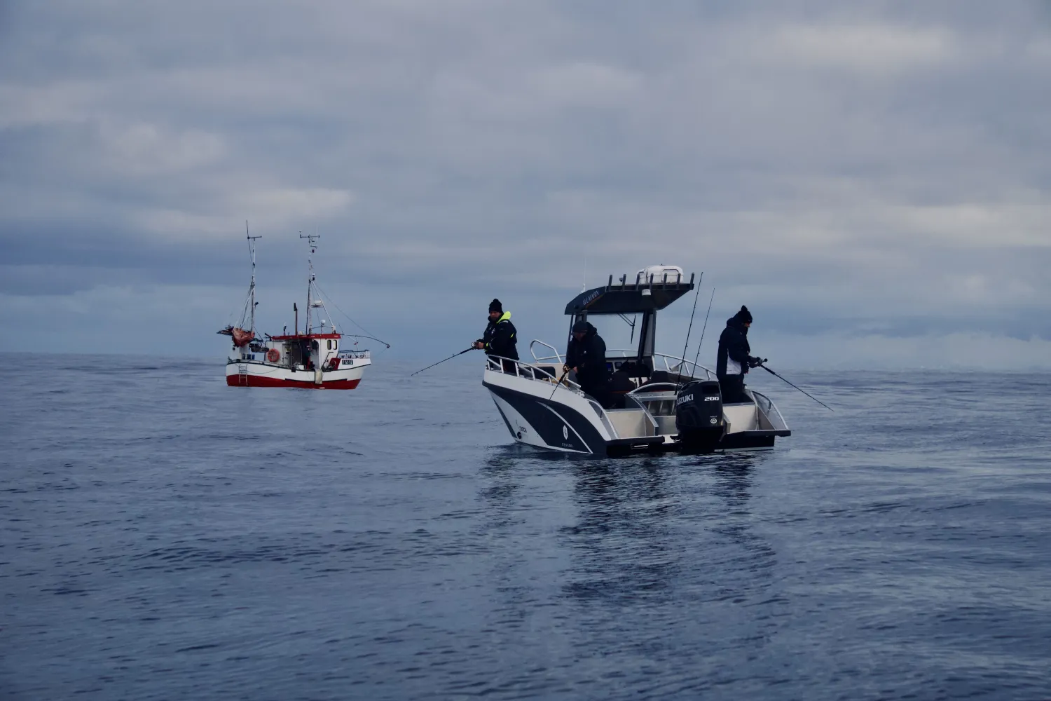 Guidet havfiske og båtopplevelser