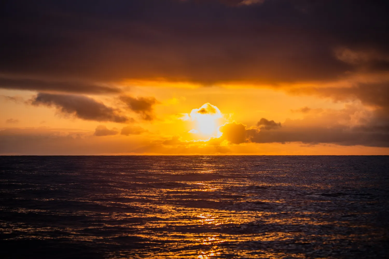 Naturopplevelser gjennom hele året