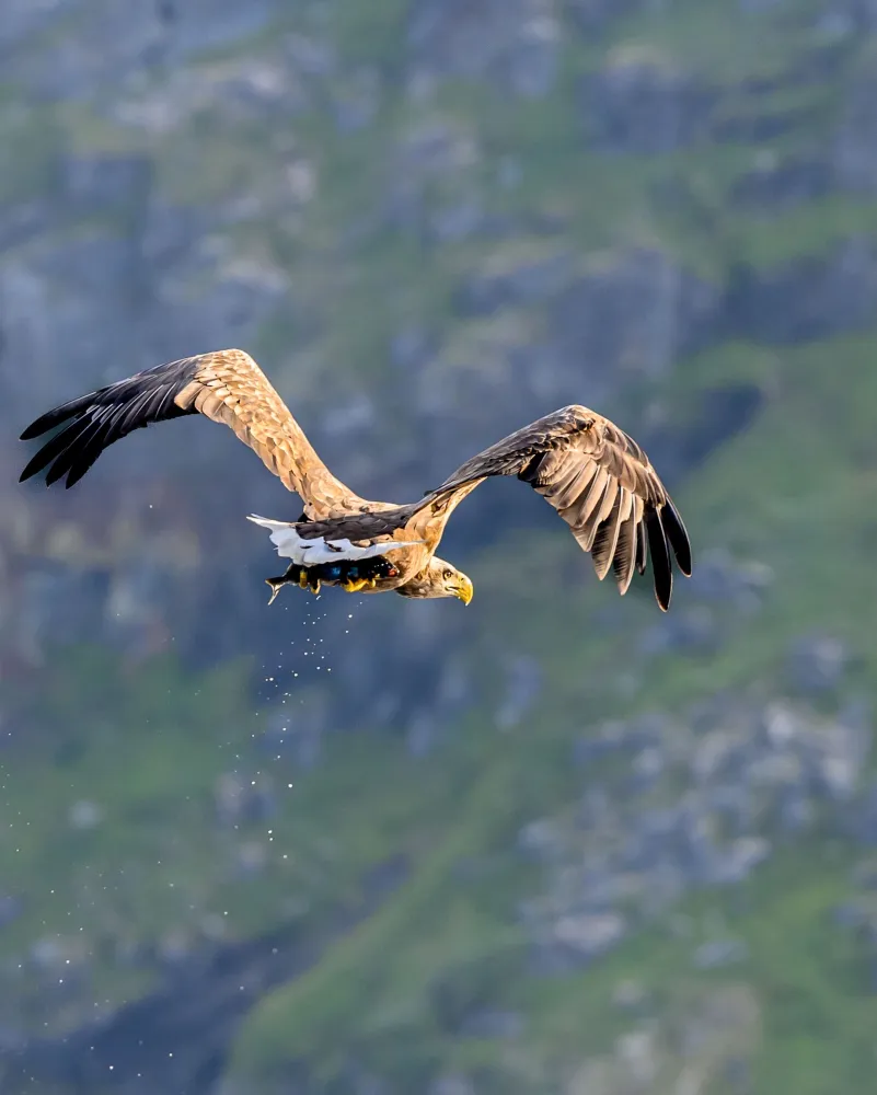 Adventure Camp Steinfjord