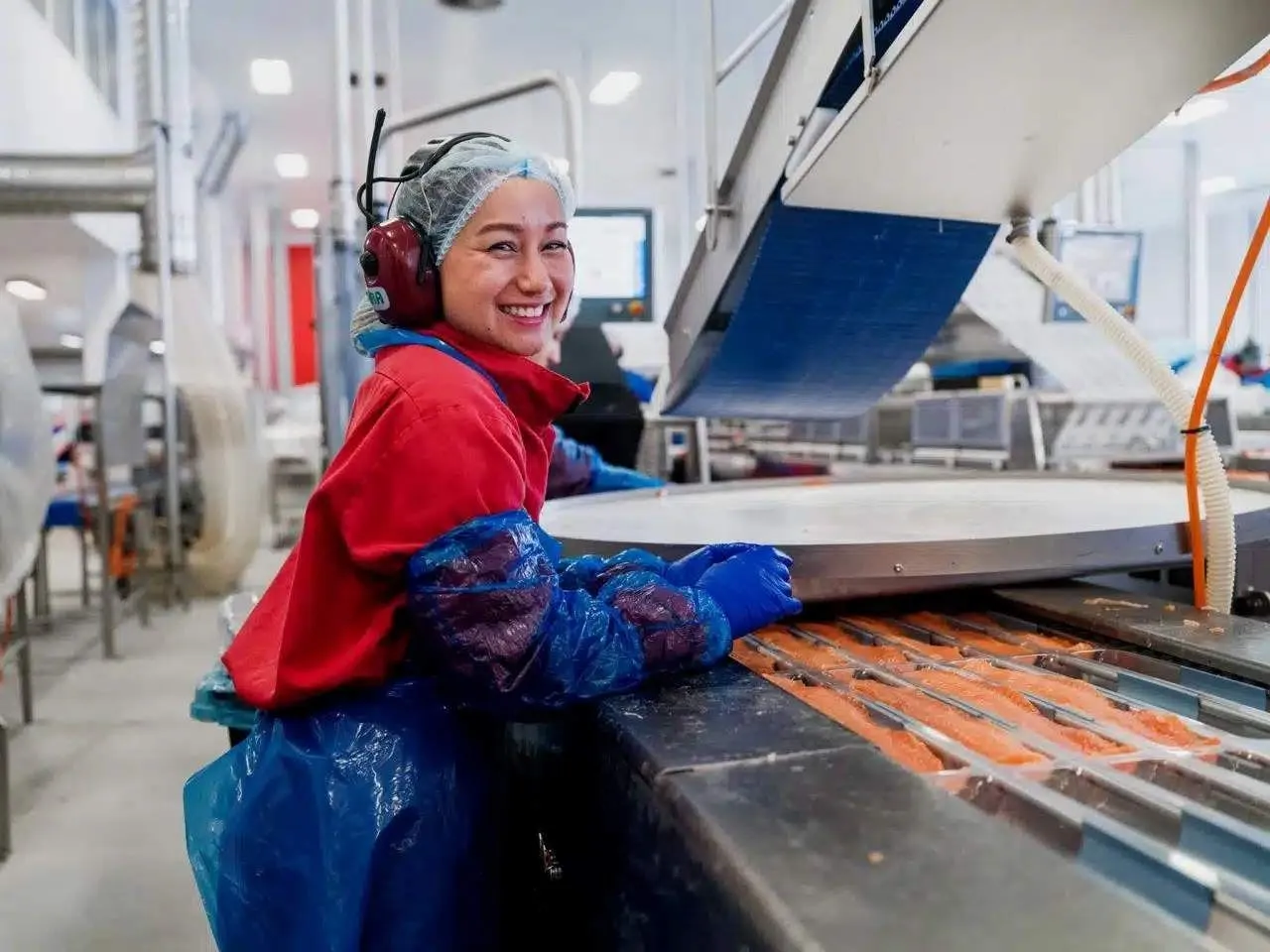 Prosessing of Salmon