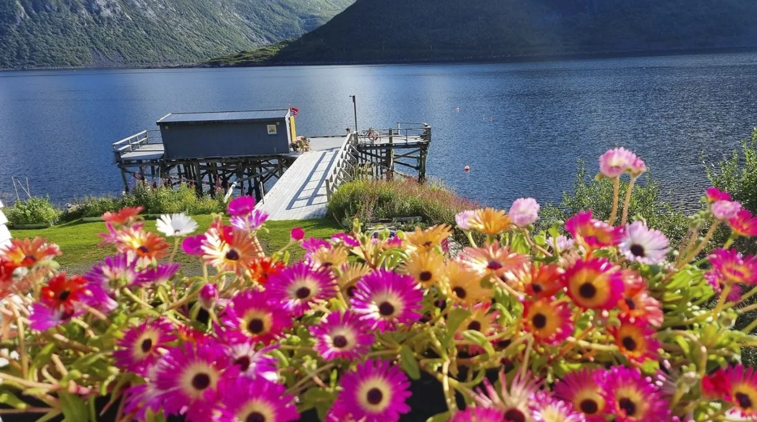 Galleriet med blomster i forgrunnen