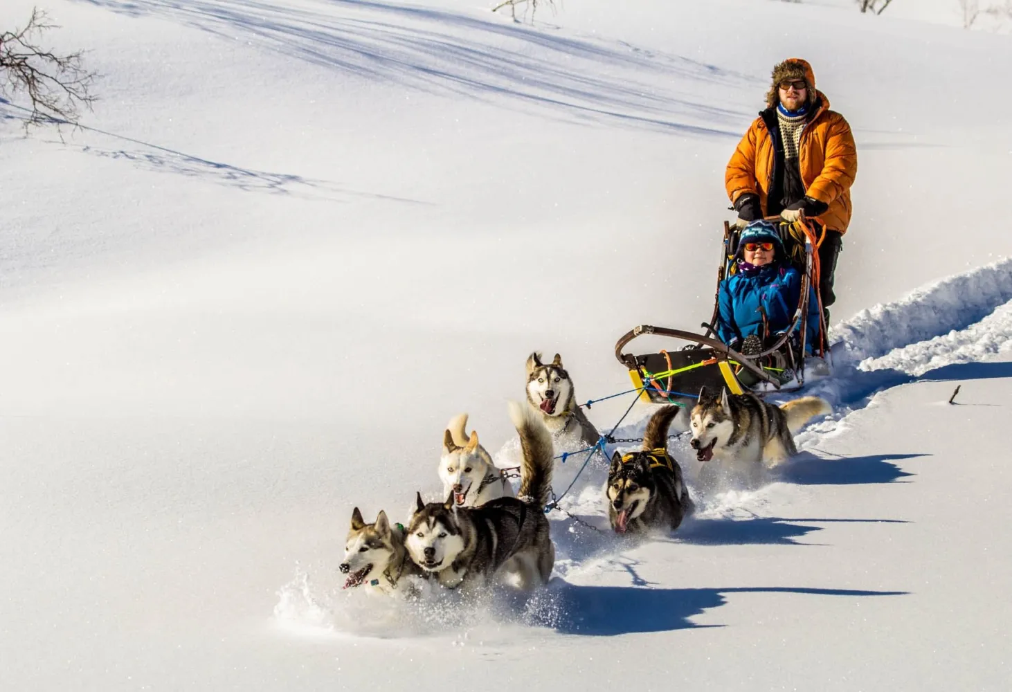 Hundeslede hos Senja Husky