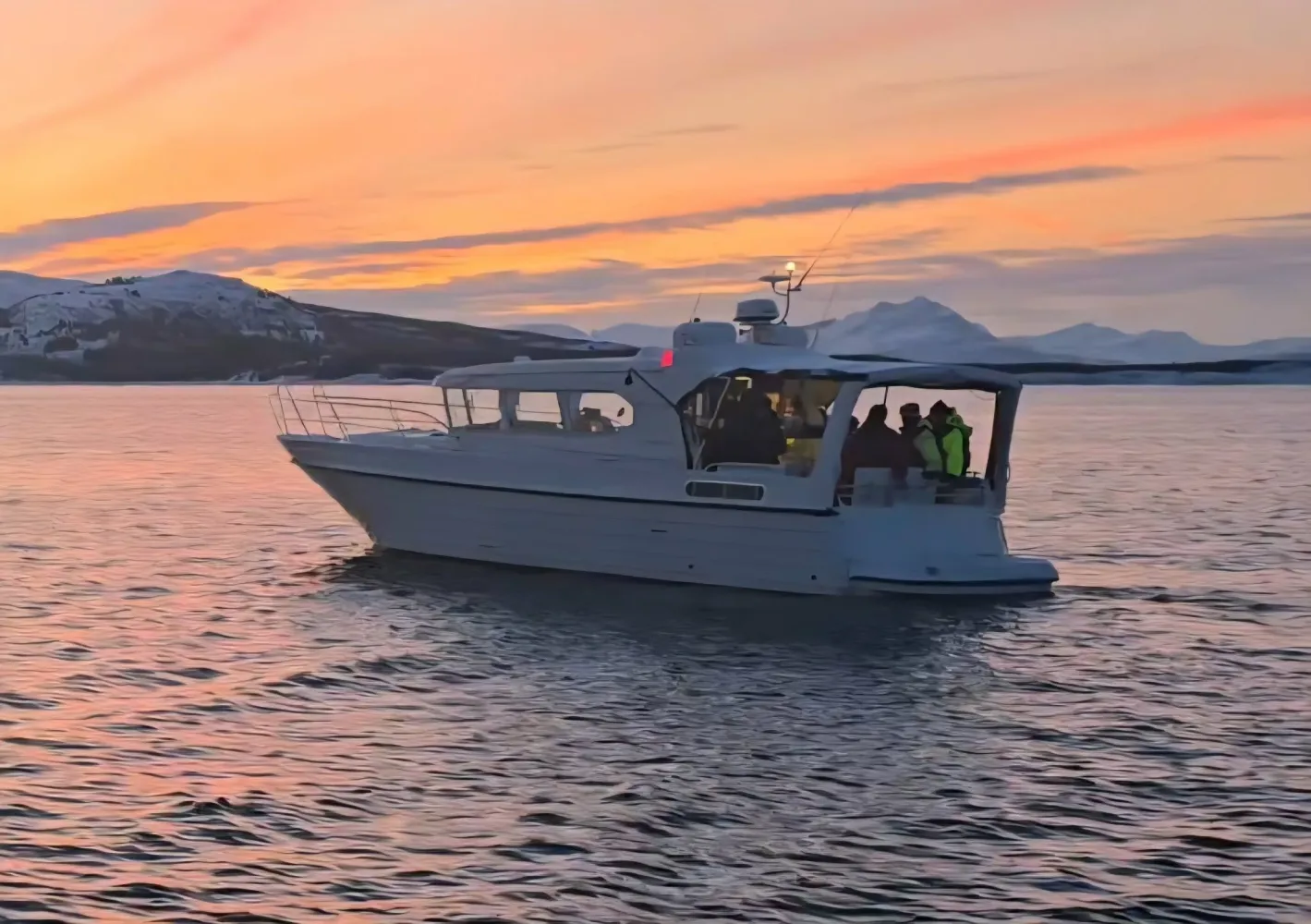 Båt Sea Safari med Senja Fjordhotell