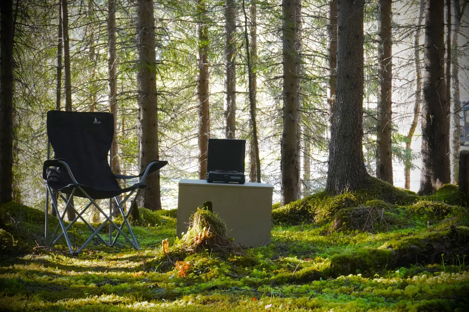 I skogen Senja Van Life