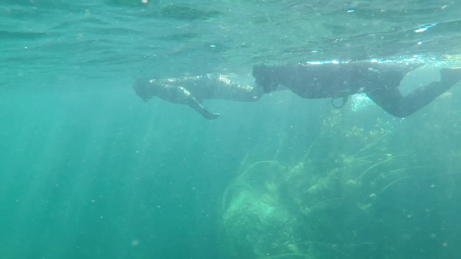 The Natural North Snorkling