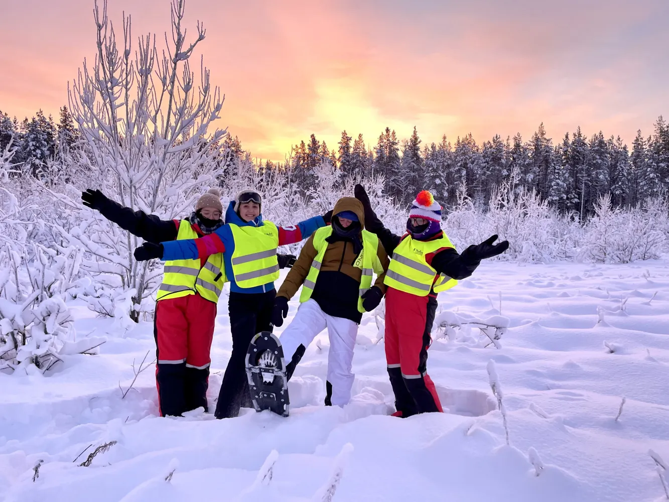 Wild Moose - Up in the Arctic