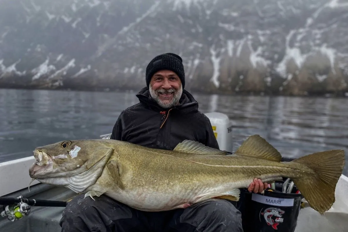 Boat trip or Fishing with Xplor Senja
