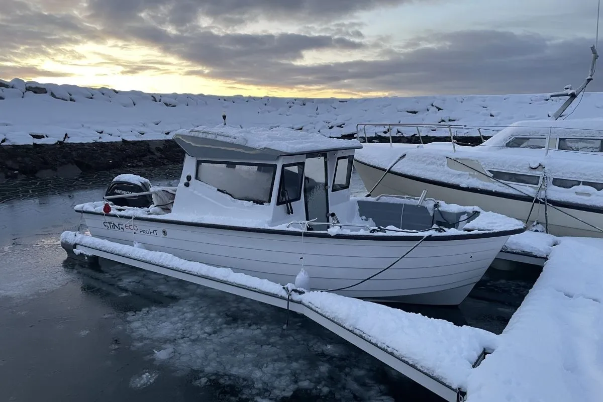 Boat trip or Fishing with Xplor Senja