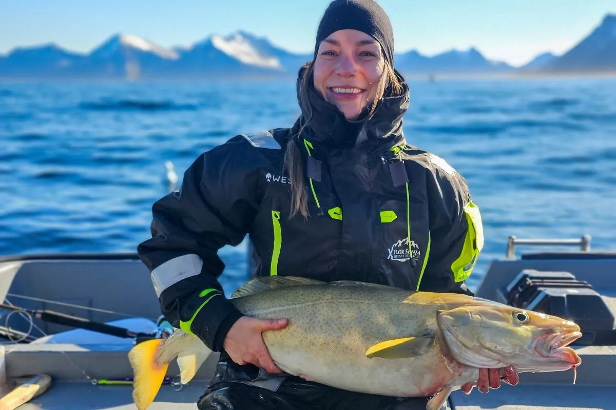Utforsk magiske Senja med  Xplor Senja