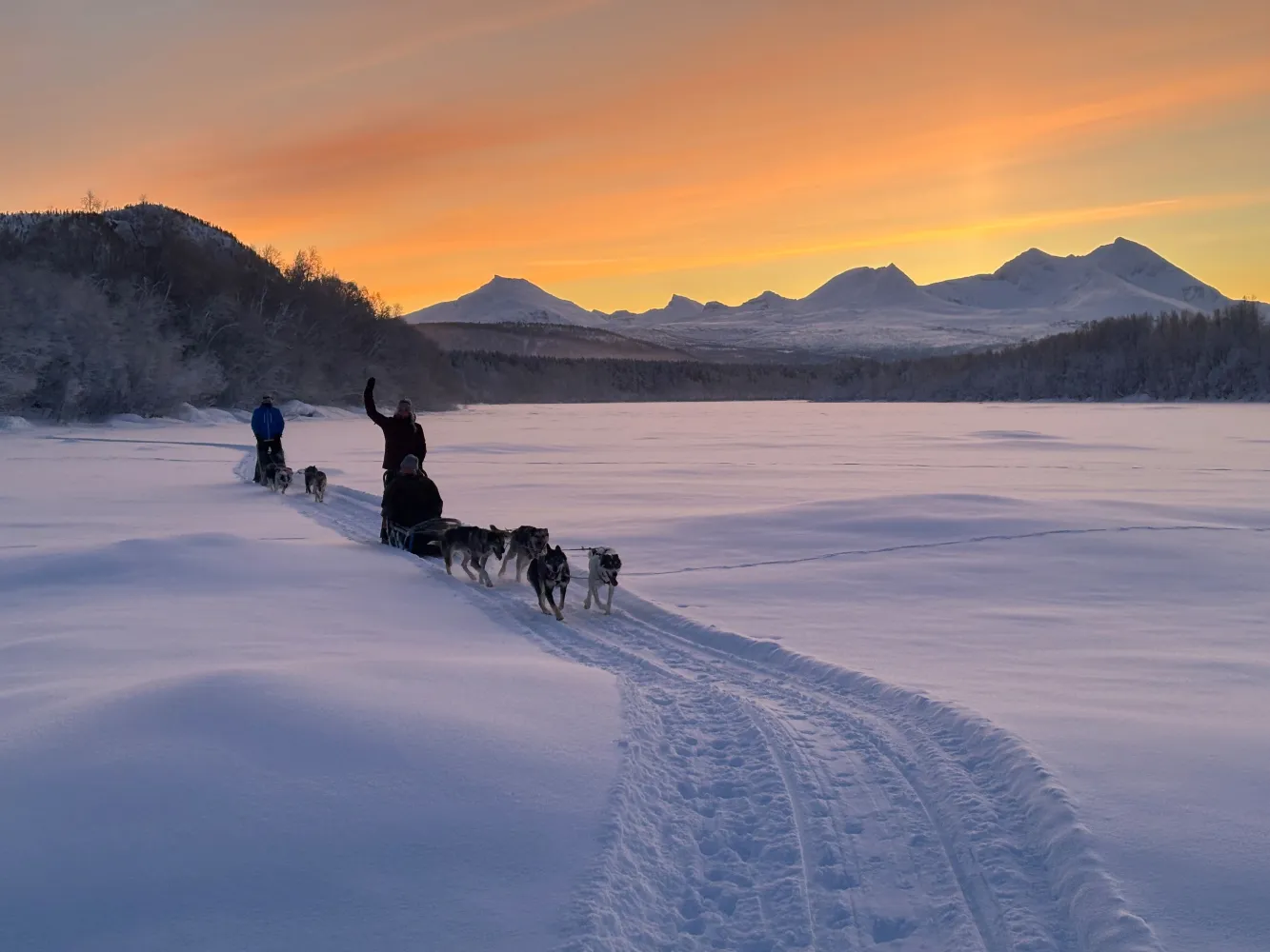 M-Husky dogsledding winter sunset
