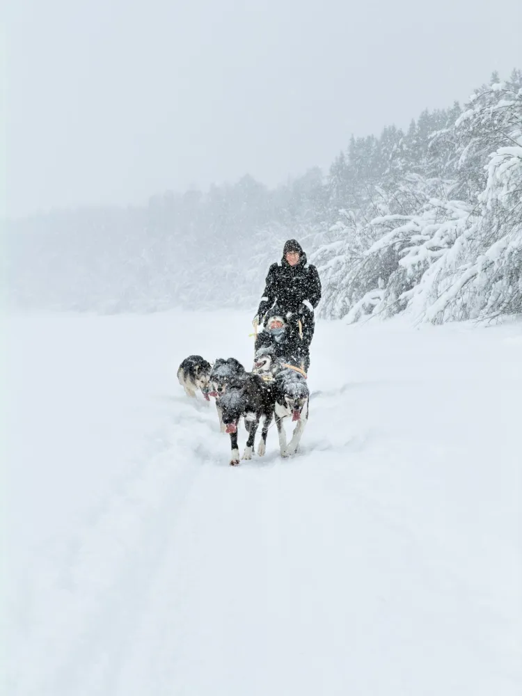M-Husky Winter snowy day