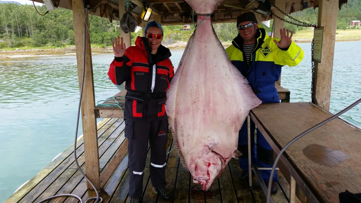 Frovåg Havfiske
