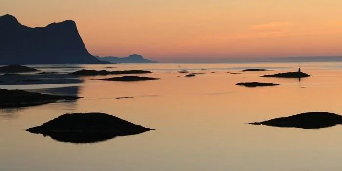 Halvdags fjordekspedisjon (3 timer) - yttersia Senja