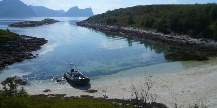 2 timers fjordekspedisjon - yttersia Senja - Basecamp Senja