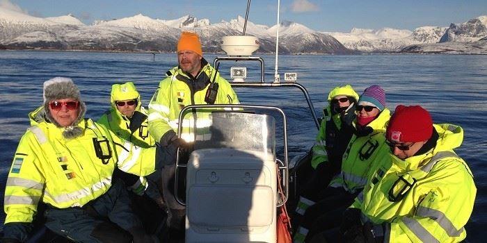 Halvdags fjordekspedisjon (3 timer) - yttersia Senja