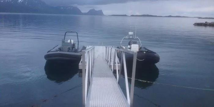 Halvdags fjordekspedisjon (3 timer) - yttersia Senja