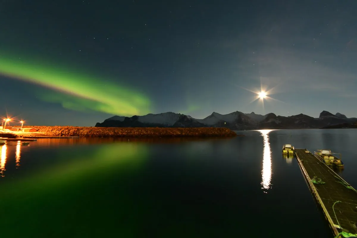 Winter Activity Package on Senja