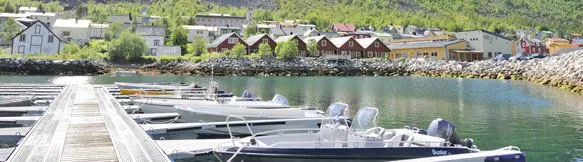 Fiske fra Kaikanten