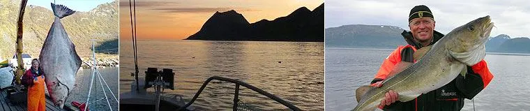Fiske fra Kaikanten
