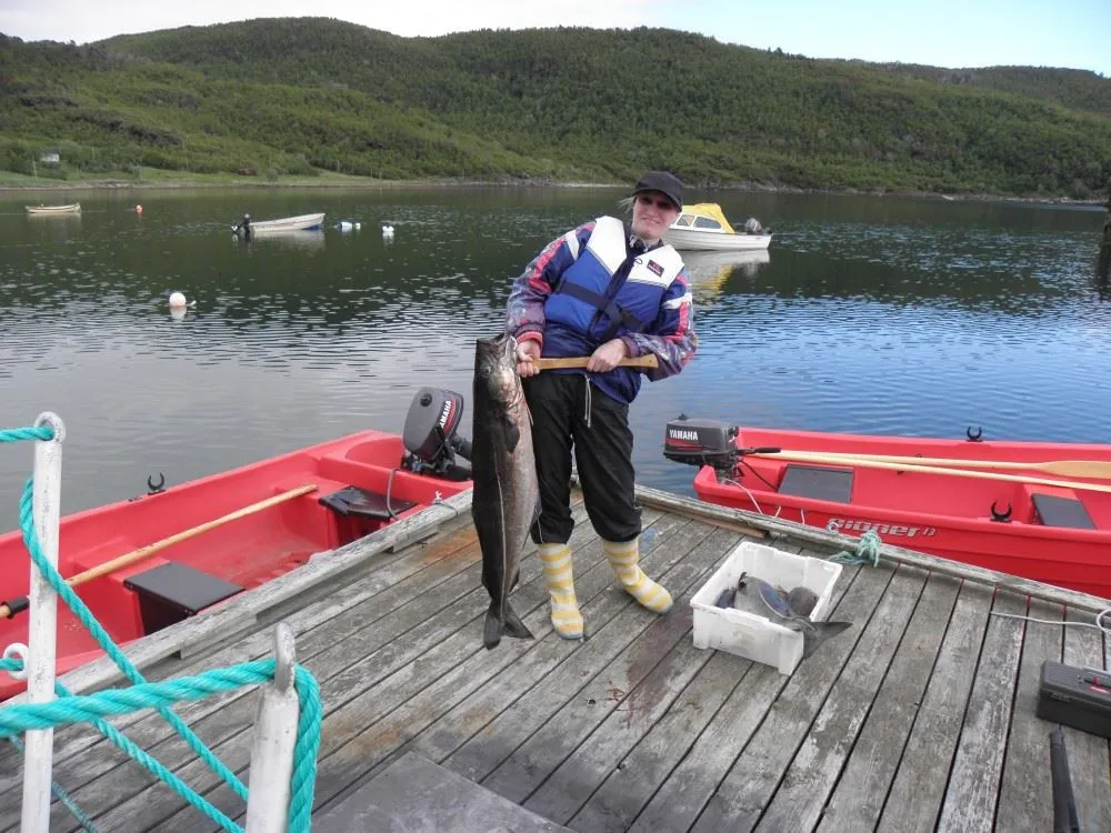 Skatvik Camping