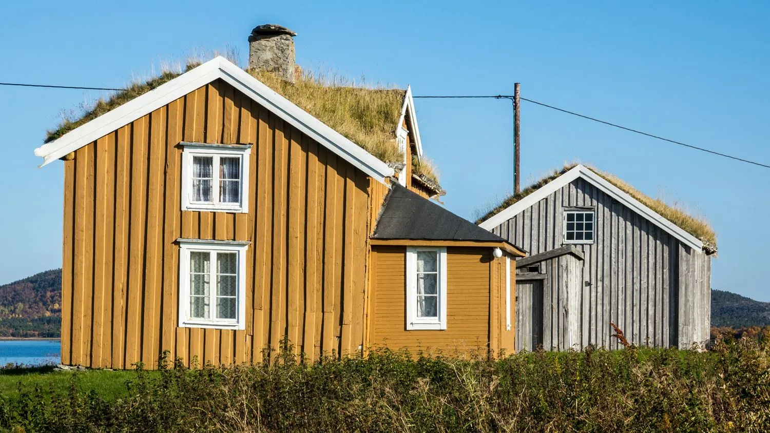 Hofsøy