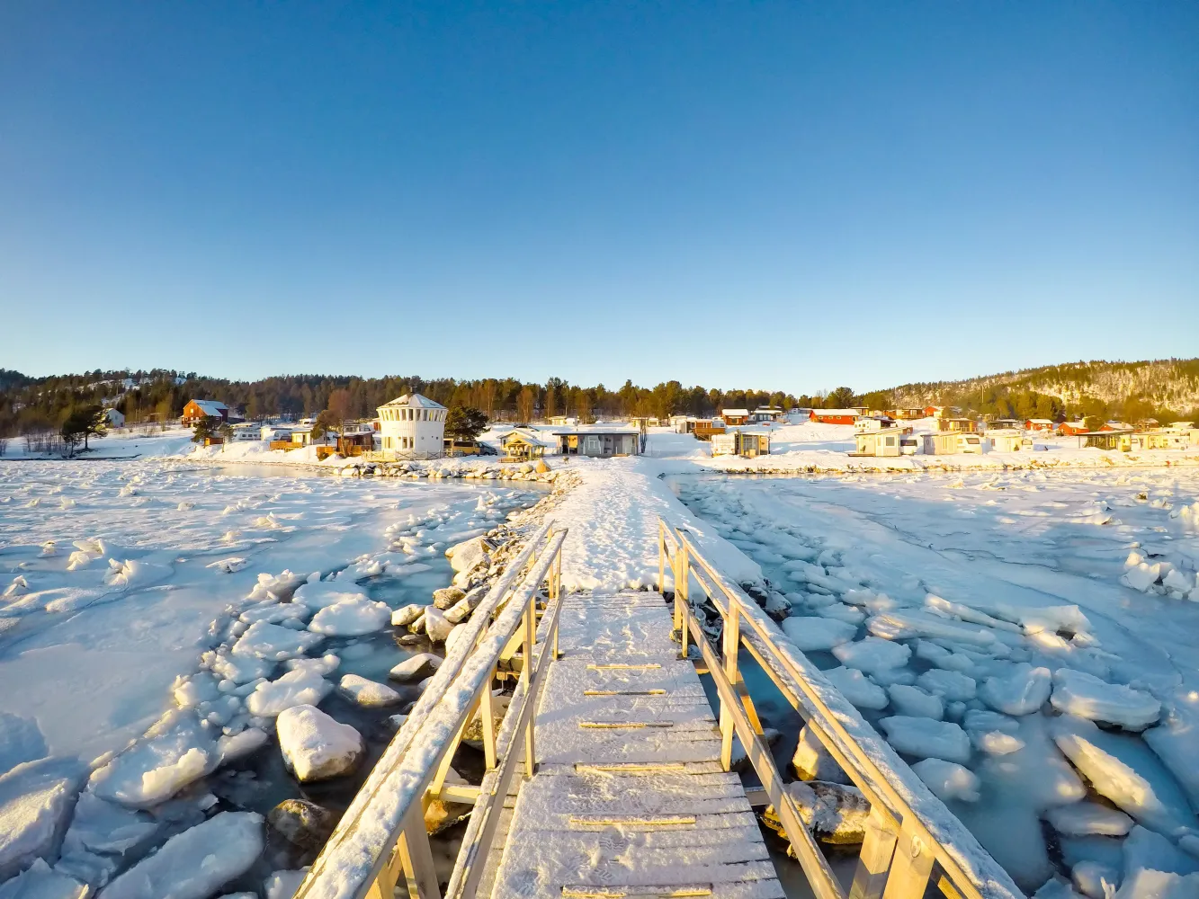 Norwegian Wild 