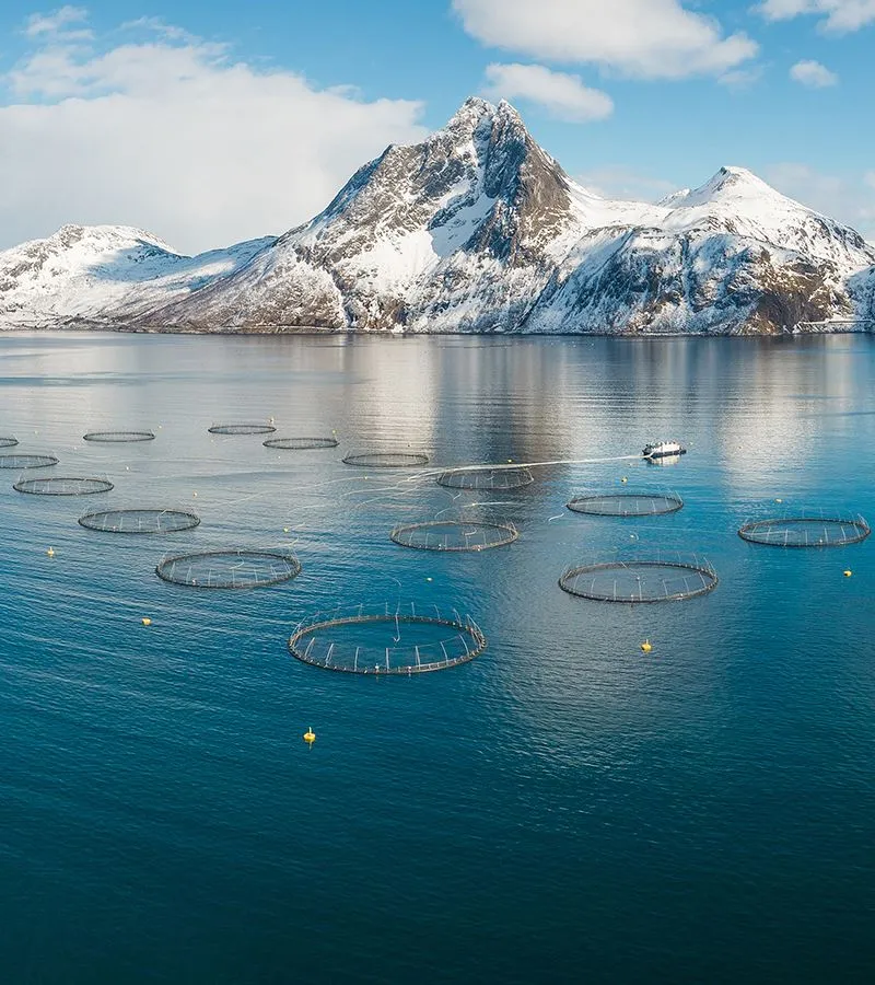 Visningstur til merdekanten og Salmon Center Senja