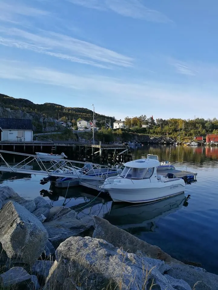 Kveitefiske på Senja