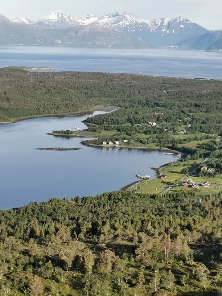 fugleperspektiv naturbilde
