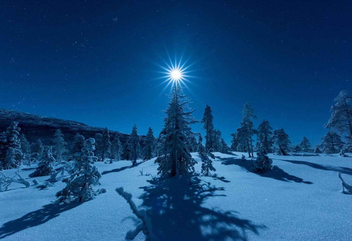Månelys over juletre i arktisk lys