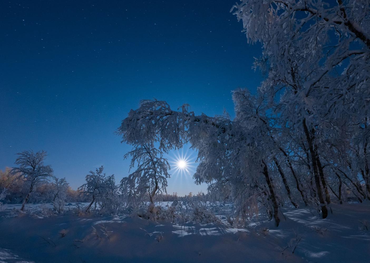 Polarlys og månelys over snødekt landskap