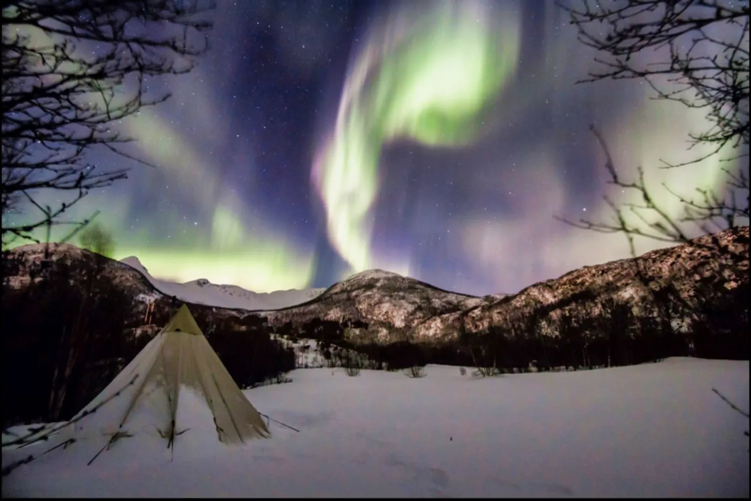 Lavvo og nordlys