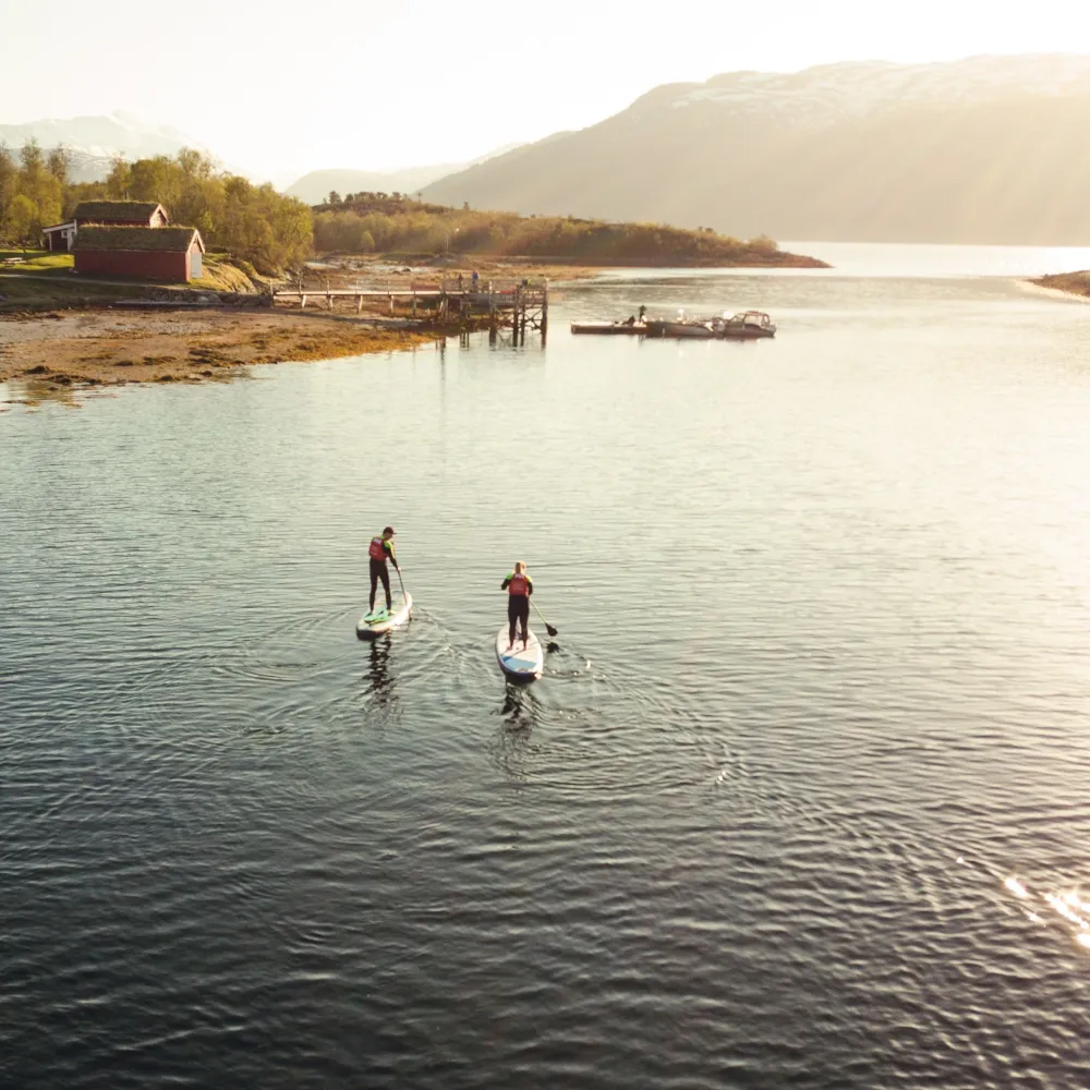 Gjester på stand up paddle brett