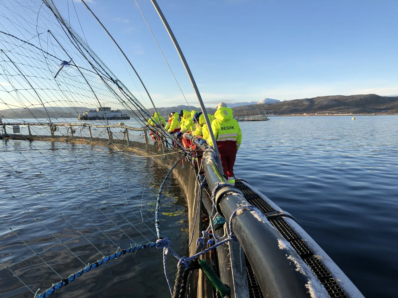 Visningstur til merdekanten og Salmon Center Senja